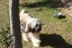 Thumbs/tn_Bild 058.jpg